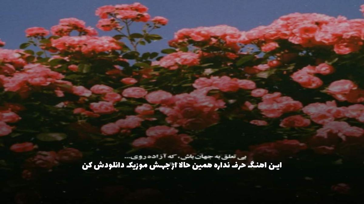 عکس آهنگ بدون من جایی نری میخوام داد بزنم از علی یاسینی